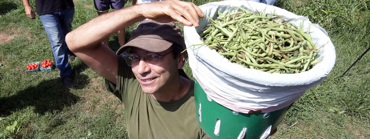Gleaning
